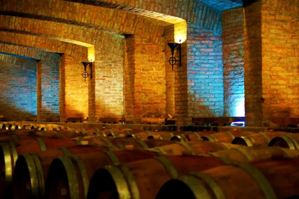 Vinícolas no Chile com almoço